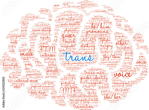 Trans Word Cloud on a white background. 