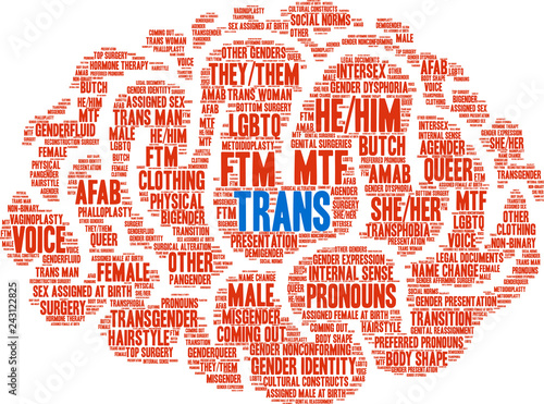 Trans Word Cloud on a white background. 