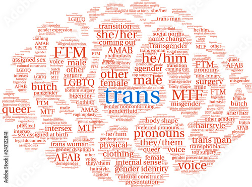 Trans Word Cloud on a white background. 