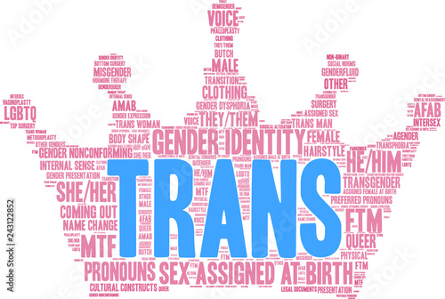 Trans Word Cloud on a white background. 