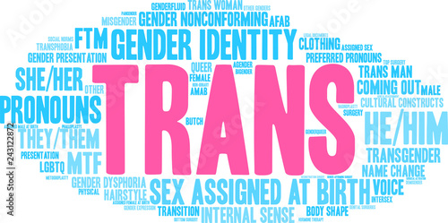Trans Word Cloud on a white background. 
