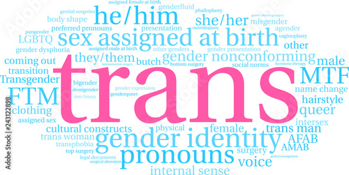 Trans Word Cloud on a white background. 