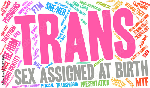 Trans Word Cloud on a white background. 