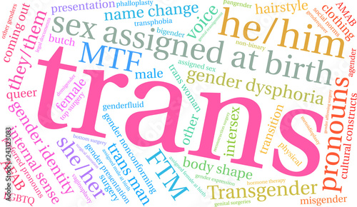 Trans Word Cloud on a white background. 