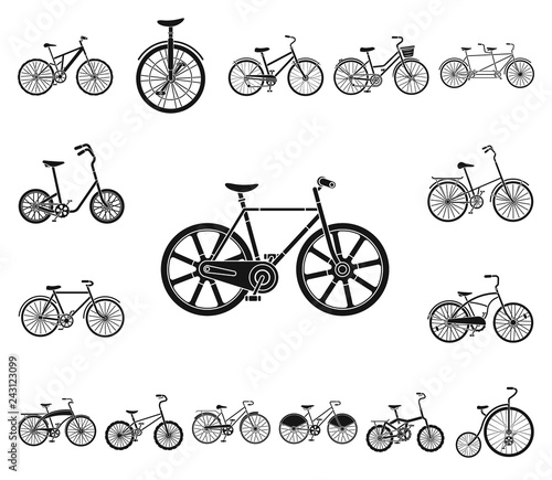 Various bicycles black icons in set collection for design. The type of transport vector symbol stock web illustration.