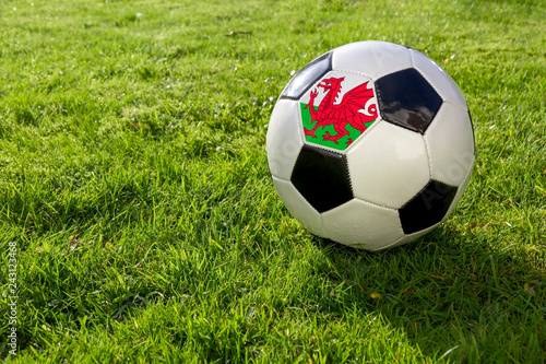 Football on a grass pitch with Wales Flag.
