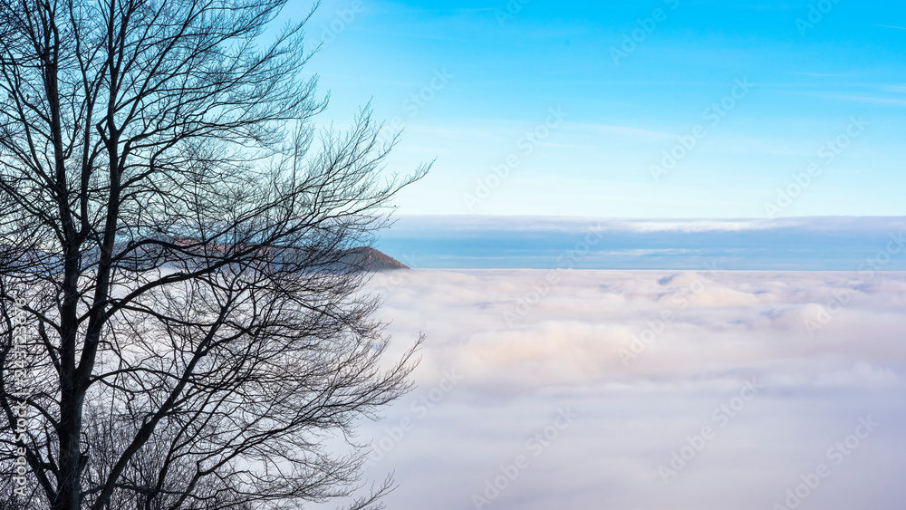 Clouds Wolken Nebel Dahn Annweiler am Trifels Trifels 
