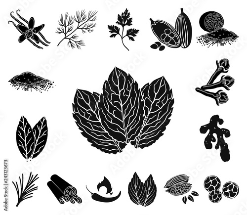 Herb and spices black icons in set collection for design.Different kinds of seasonings vector symbol stock web illustration.
