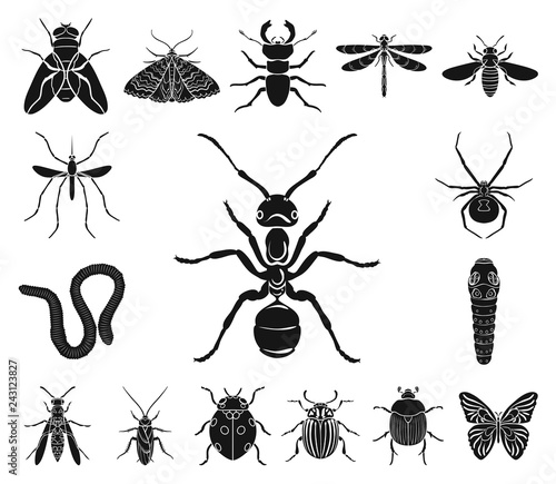 Different kinds of insects black icons in set collection for design. Insect arthropod vector symbol stock web illustration. photo