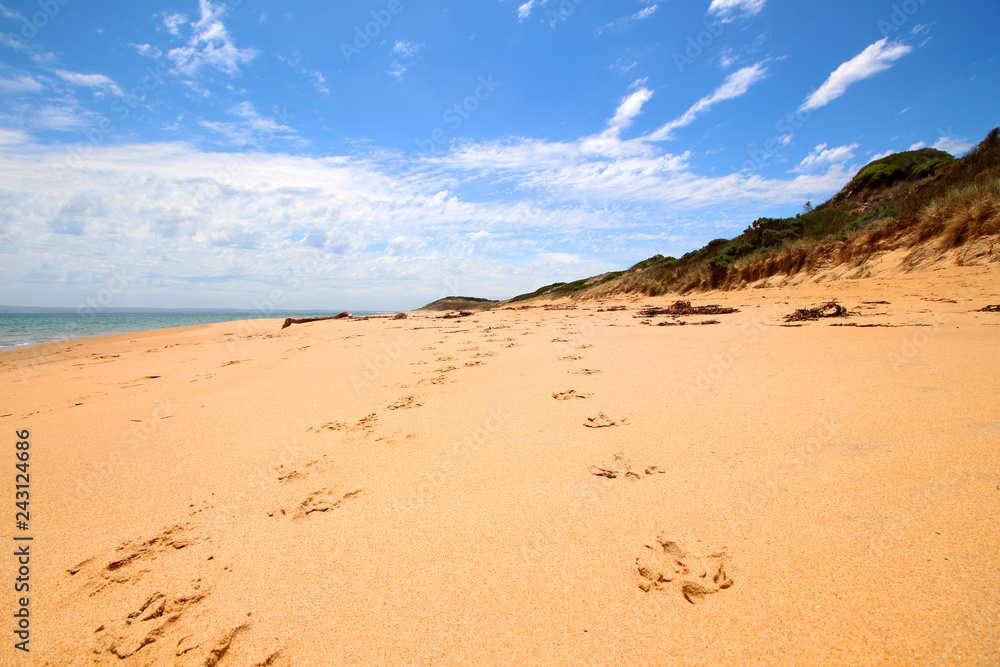Flynns beach footprints
