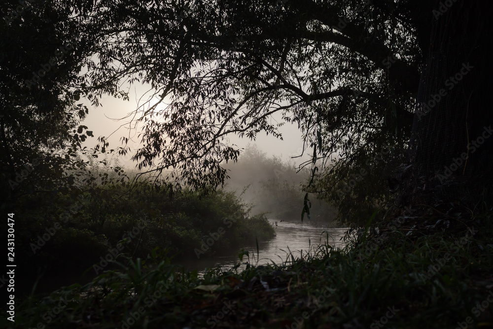 Fototapeta premium Wasser 