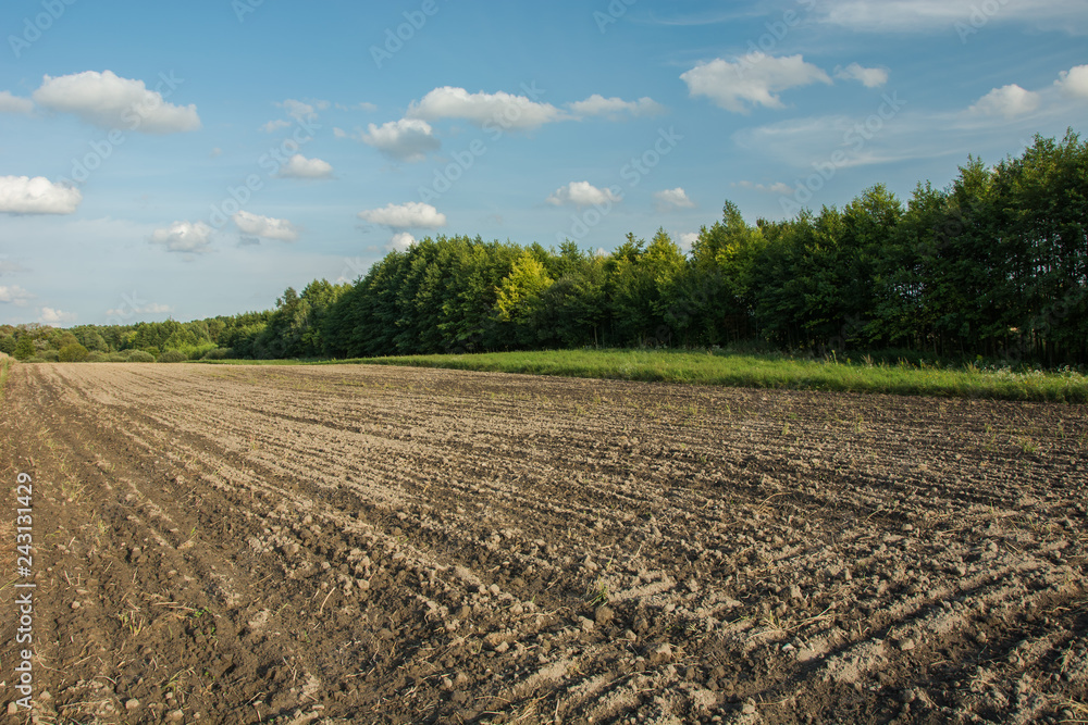 Plowed field in front of a forest and clouds on a blue sky Plowed field in front of a forest and clouds on a blue sky
