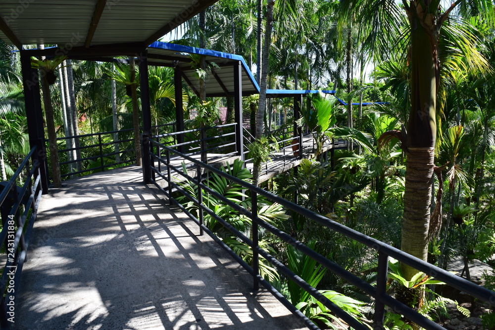 Fototapeta premium Park