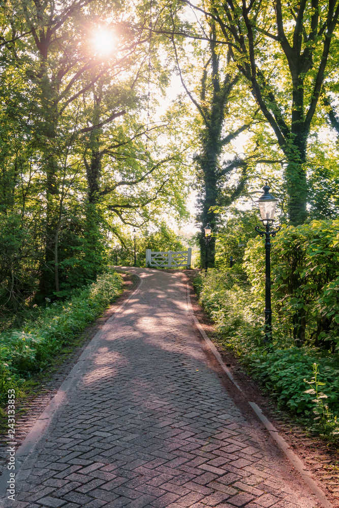 Naklejka premium Bicycle path through the woods of the estate Marienwaerdt