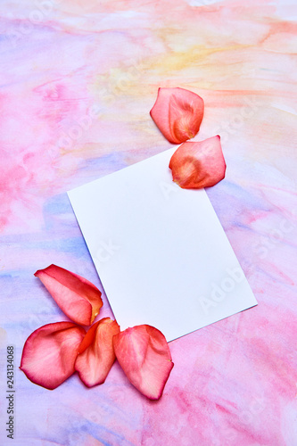 background for greeting card women's day, Valentine's Day. Red rose petals and a white card lie on a watercolor background in delicate pink, blue, yellow shades