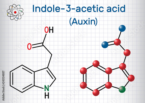 Auxin, Indole-3-acetic acid (IAA, 3-IAA). Sheet of paper in a cage.Structural chemical formula and molecule model.