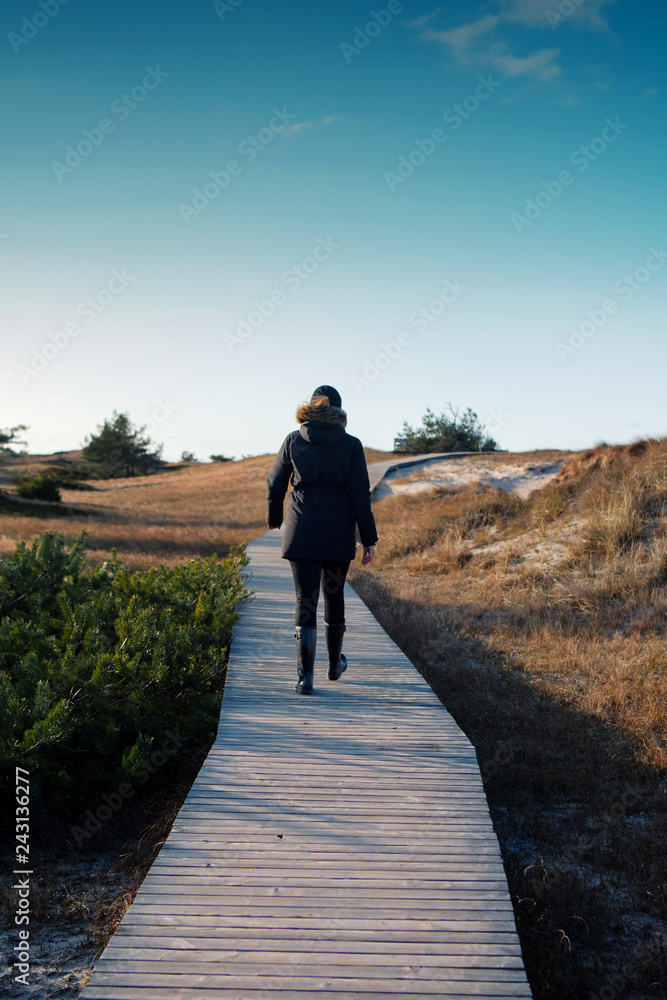 Back view of a young girl walking on a wooden boardwalk path in the beach dunes Nationalpark Vorpommersche Boddenlandschaft at sunny winter day. German Baltic Sea coastline at Fischland-Darss-Zingst