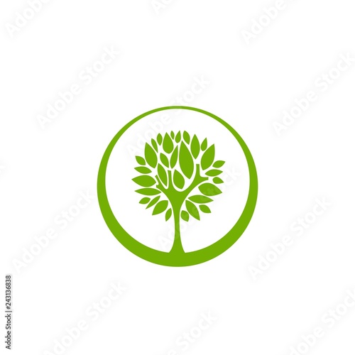 Green flat tree with sharp leaves in circle isolated on white. organic symbol.