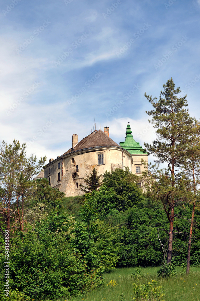 Old beautiful medieval castle on the hill among the trees