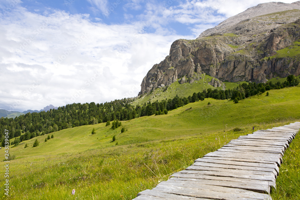 Fototapeta premium Wooden path at dolomite meadow