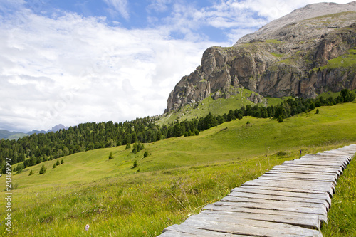 Wooden path at dolomite meadow