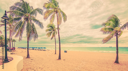 Fototapeta Naklejka Na Ścianę i Meble -  Tropical palm trees on the beach. Vintage style.