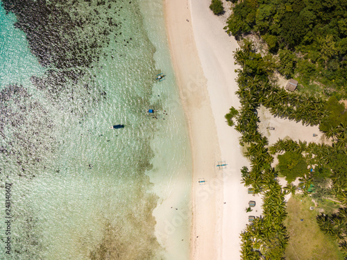 Fototapeta Naklejka Na Ścianę i Meble -  Aerial top view of tropical beach on the island Malcapuya. Beautiful tropical island with sand beach, palm trees. Travel tropical concept. Palawan, Philippines