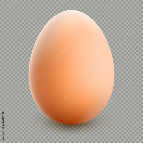 Close up of brown egg isolated. EPS 10