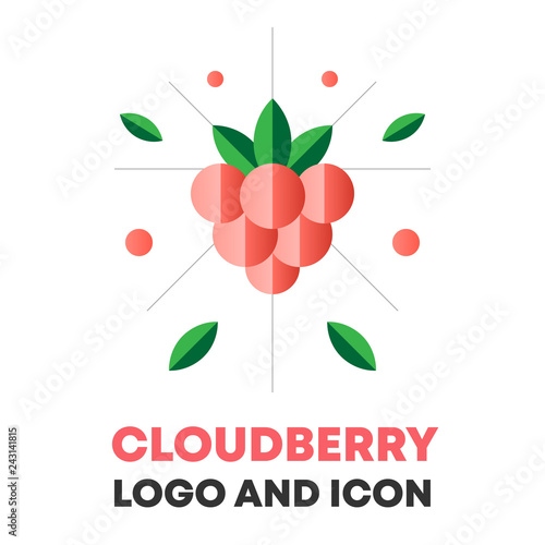 Cloudberry icon, logo, berry vector illustration. Flat cloudberry icon, logo design for food, cosmetic package. Flat cloudberry icon, logo for menu. Berry vector illustration, cloudberry icon, logo.