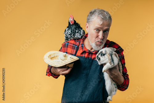 grey-haired farmer is going to kiss a rabbit. studio sshot. isolated orange background. feeling photo