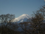 初春の富士