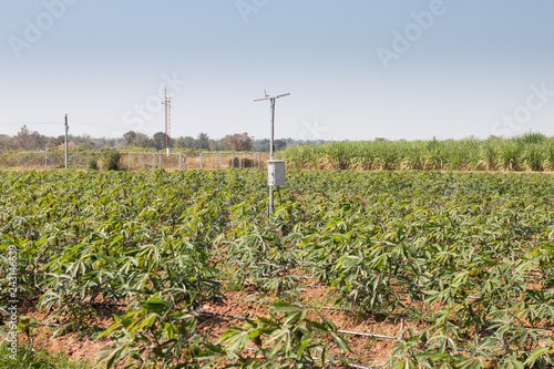 agriculture and Internet of things , smart farmer
