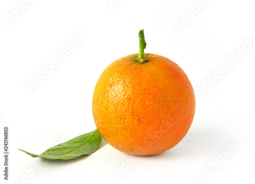 Organic tangerine