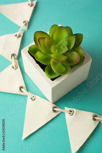 Decorative fake succulent, home decor, isolated on blue colorful background. Copy space, flat lay. photo
