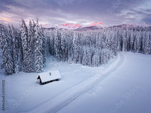 Fototapeta Snow covered winter forest landscape aerial view in Pokljuka Slovenia with pines and mountains in the background
