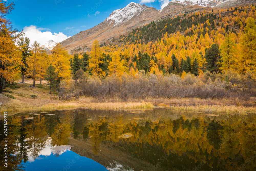 Dolomites Mountains, autumn landscape in the The Martello valley in South Tyrol in the Stelvio National Park, Alps, northern Italy, Europe. Beauty of nature concept background. Dolomites Mountains, autumn landscape in the The Martello valley in South Tyrol in the Stelvio National Park, Alps, northern Italy, Europe. Beauty of nature concept background.