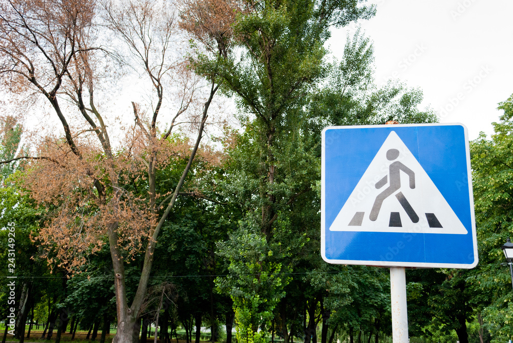Road signs, road sign pedestrian crossing on a background of trees, traffic rules, driving