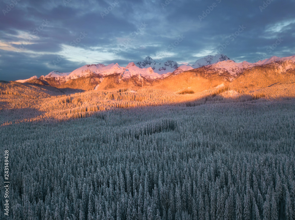 Snow covered winter forest landscape aerial view with pines and mountains in the background. Cold morning sunrise with alpenglow.