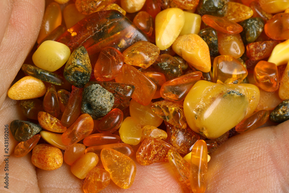 Baltic amber stones on palm Baltic amber stones on palm