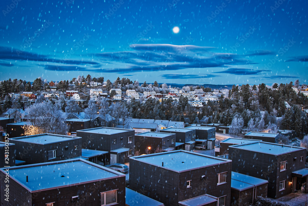 Snow in Oslo 