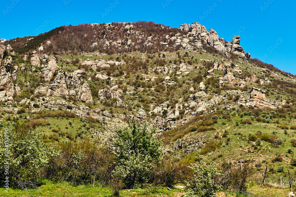 Mountain Demerdzhi in Crimea in spring.
