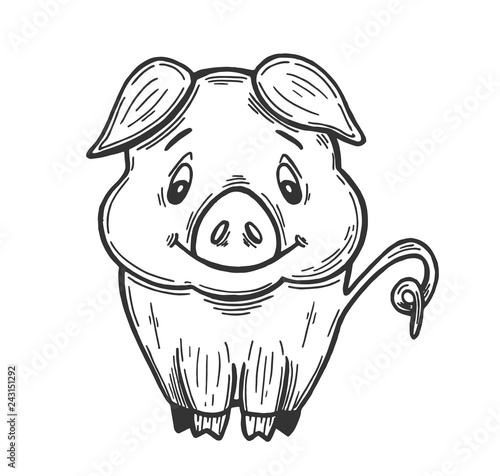 Pig. Hand drawing. Circuit