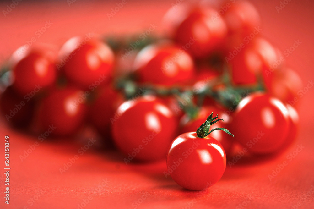 A branch of cherry tomato on a red background. Tomatoes occupy the entire frame space. Close-up. Macro shooting. A branch of cherry tomato on a red background. Tomatoes occupy the entire frame space. Close-up. Macro shooting.
