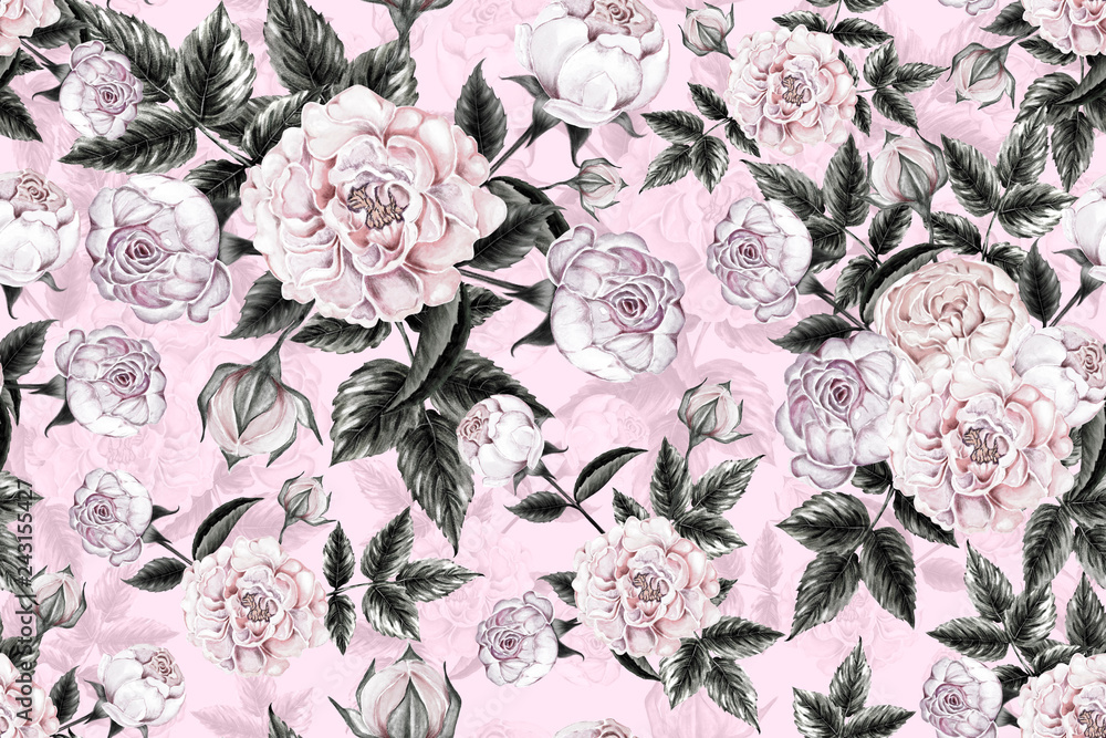 Seamless pattern pink rose flowers vintage on pink pastel color abstract  background. Watercolor illustration hand drawn.