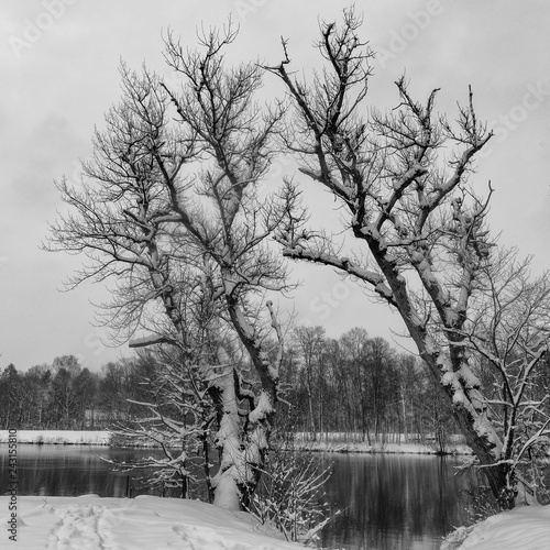 Wallpaper Mural The Hochablass at Augsburg/Germany before sunrise Torontodigital.ca