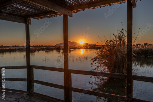 romantic sunset in the middle of a lake with beautiful vegetation.