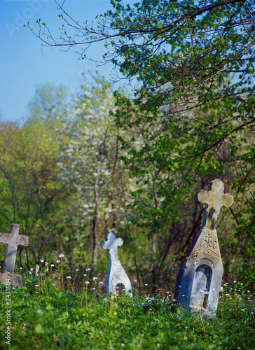 Old orthodox cemetery, Pogorze Przemyskie, Poland photo