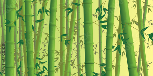 Bamboo background. Vector. © kenshi991