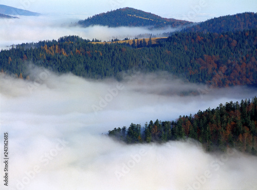 Fototapeta Naklejka Na Ścianę i Meble -  Gorczanski National Park in the clouds, Gorce mountains, Poland