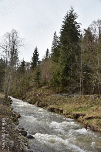 Romania,Bistrita,Anies Valley 2018